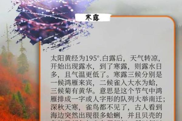 探索万年日历背后的历史与文化意义