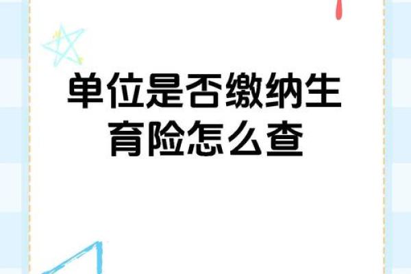 如何查询个人生育保险信息与相关政策解析